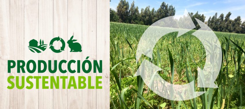 produccion-sustentable_cabeceras_blog